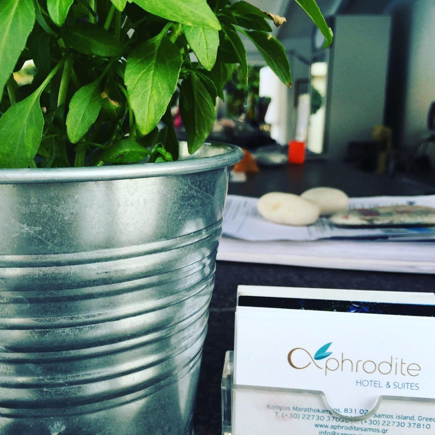 Aphrodite Samos Suites Marathokampos Bagian luar foto