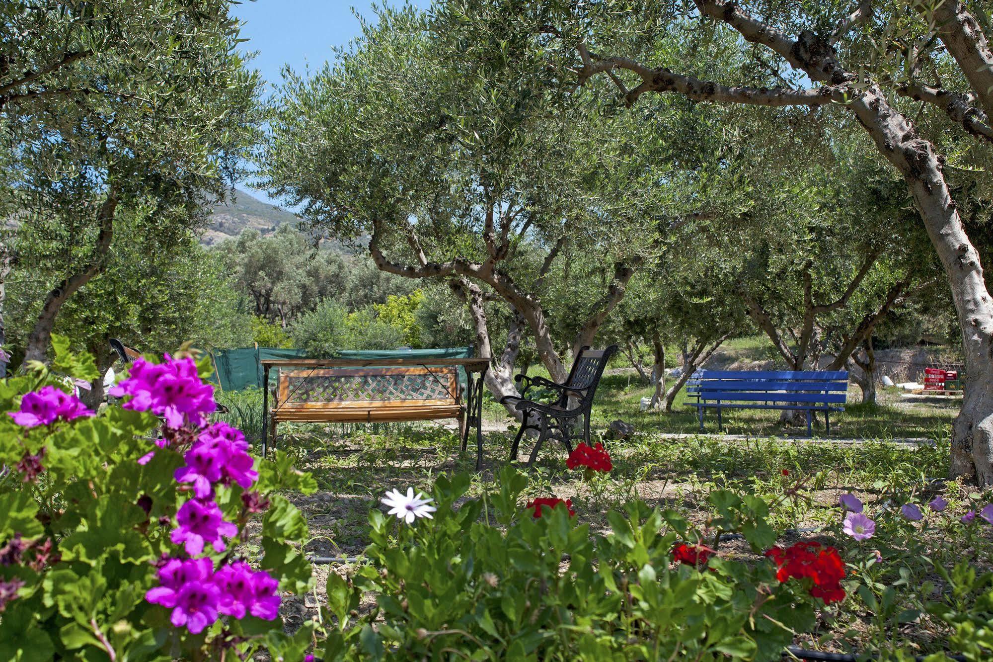 Aphrodite Samos Suites Marathokampos Bagian luar foto